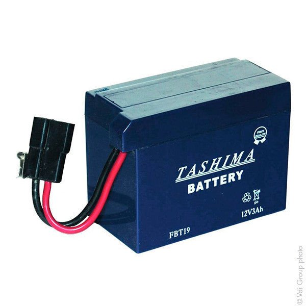 Batterie Motoculture Tashima FBT19 AGM Sans Entretien – Réf 12680FBT19