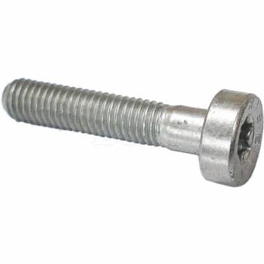 Original STIHL IS M5x25 Zylinderschraube 4237-716-0400