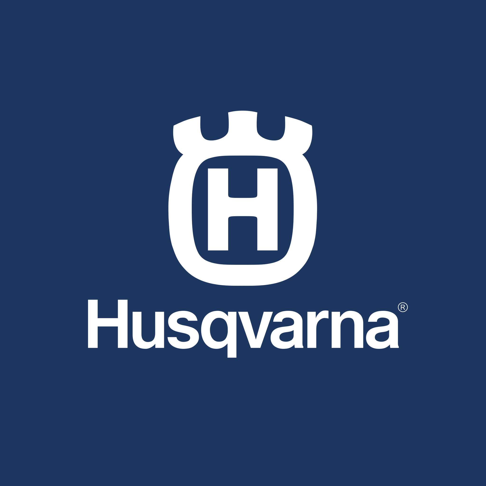 Swivel d’origine Husqvarna 539114789 – Pièce détachée authentique – Neuf