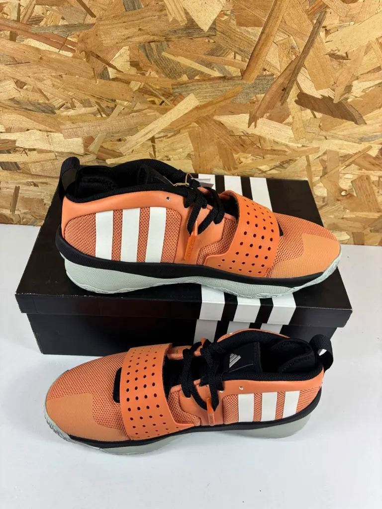 Chaussures de Basketball Homme Adidas Dame 8 EXTPLY IF1515 – 46 2/3 EU