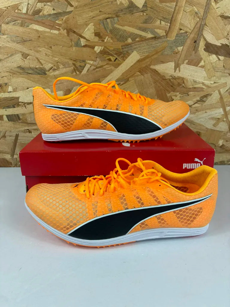 Chaussures d’Athlétisme Puma evoSPEED Distance 11 Homme – 44 – 377961-01