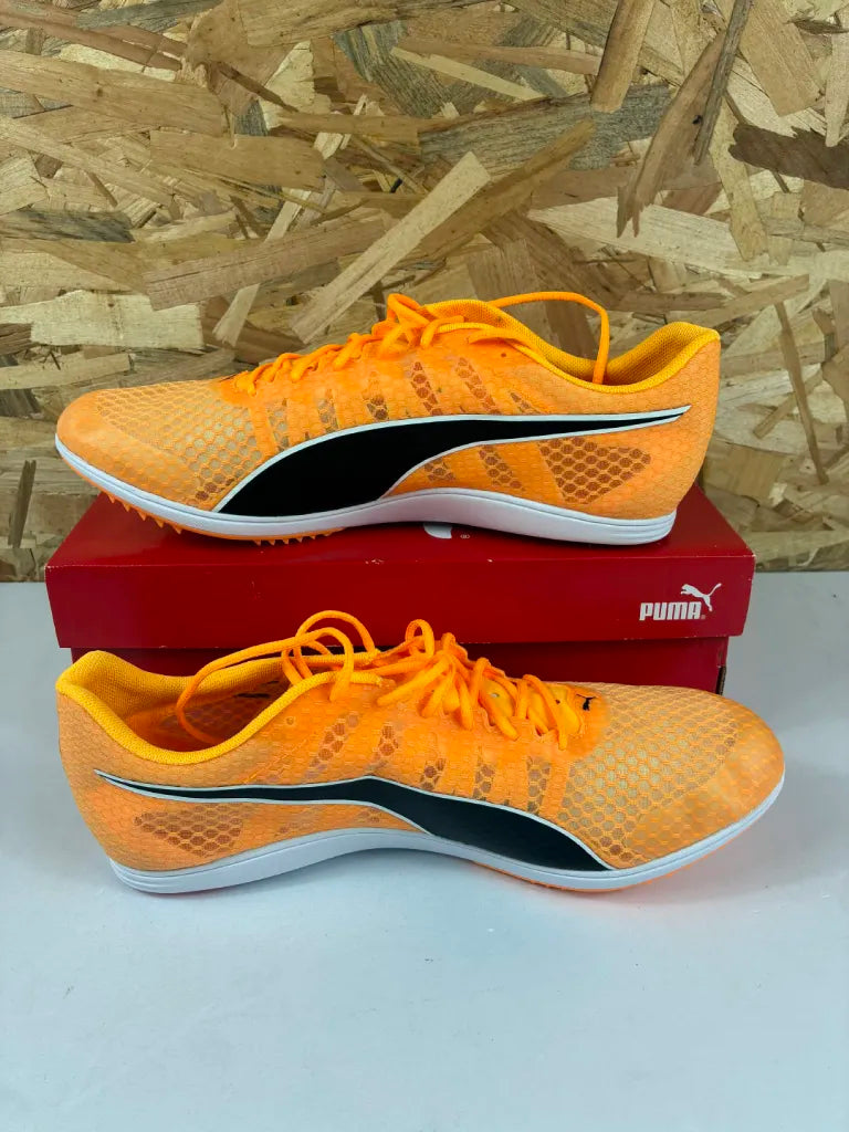 Chaussures d’Athlétisme Puma evoSPEED Distance 11 Homme – 44 – 377961-01