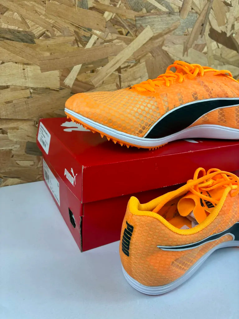 Chaussures d’Athlétisme Puma evoSPEED Distance 11 Homme – 44 – 377961-01