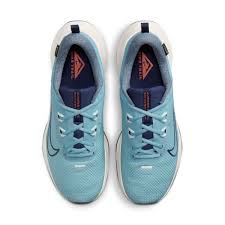 Nike Juniper Trail 2 GTX V2 HM9734-402 Denim Turq 43