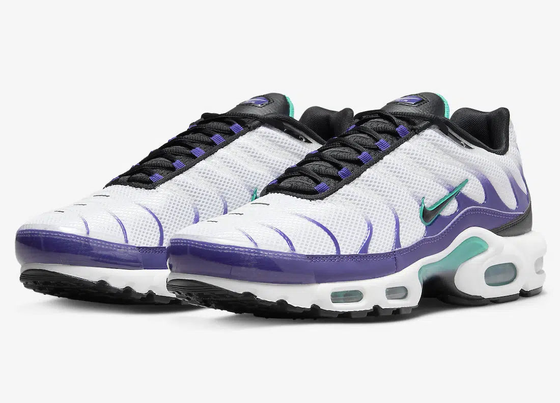 Nike Air Max Plus DM0032-100 White Black Grape Ice 44