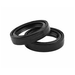Tecnium fork oil seals43x55.1x9.5/10.51043920