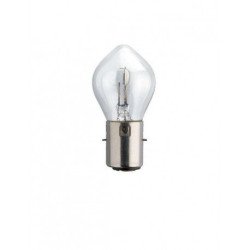 Lampadina S2 Vision Moto 12V 35/35W 1080728 dell'PHILIPS