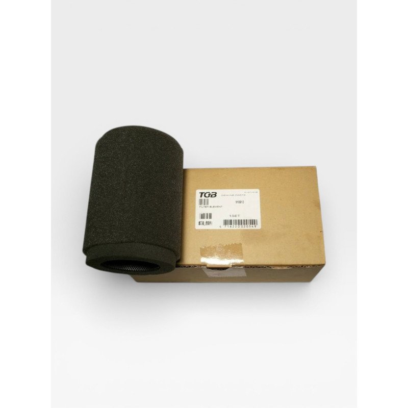 V-Twin air filter TGB original TGB -910613 Blade 1000