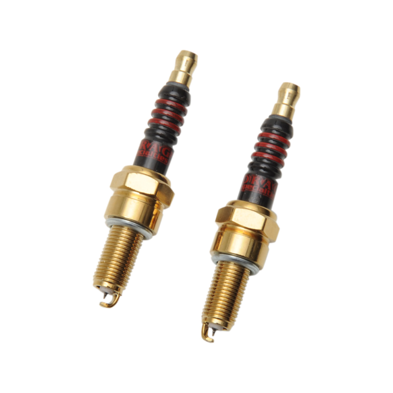 Velas Iridium RG6HCC Drag SpecialtiesHarley-Davidson, par