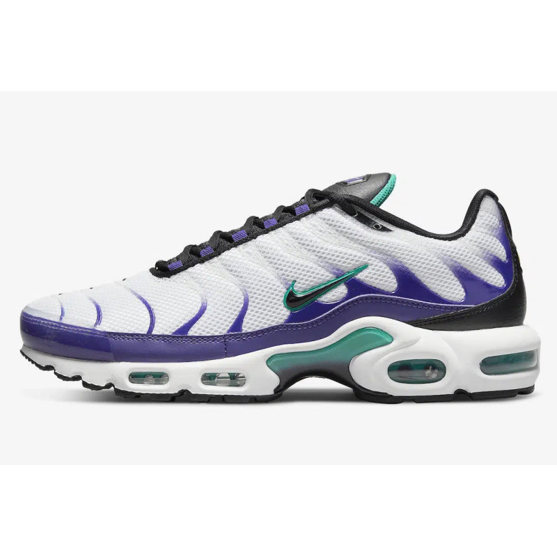 Nike Air Max Plus DM0032-100 White Black Grape Ice 44