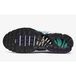 Nike Air Max Plus DM0032-100 White Black Grape Ice 44