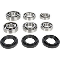 Kit cuscinetti e guarnizioni per differenziale anteriore Polaris Ranger RZRMoose Offroad