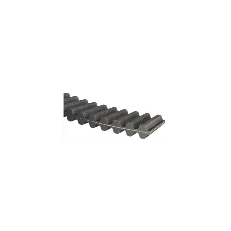 Correa dentada MITSUBOSHI DS8M-2000-16 20 mm 2000 mm