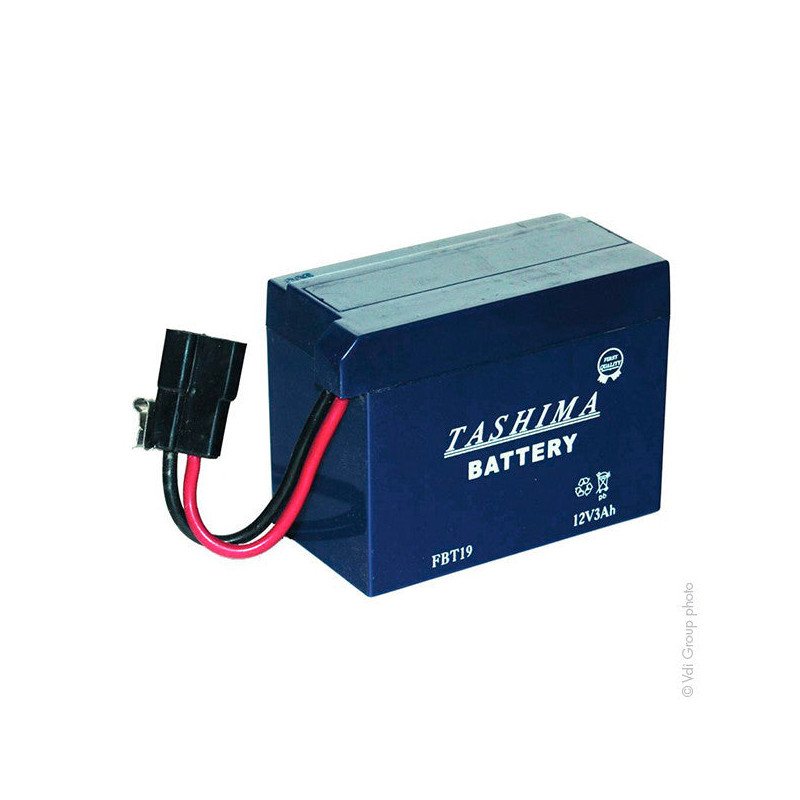 TashimaFBT19 AGM Maintenance-Free Battery for Motorized Garden Equipment – Ref. 12680FBT19