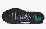 Nike Air Max Plus DM0032-100 White Black Grape Ice 44