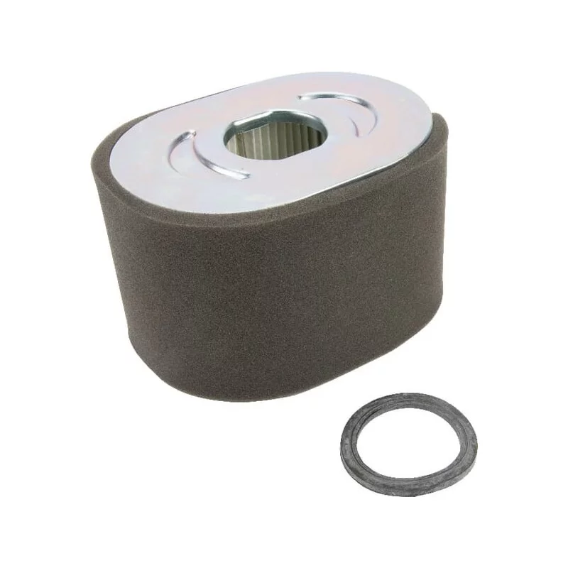 Filtre à air Briggs & Stratton 799818 moteur série 25T232 à 25T237 origine