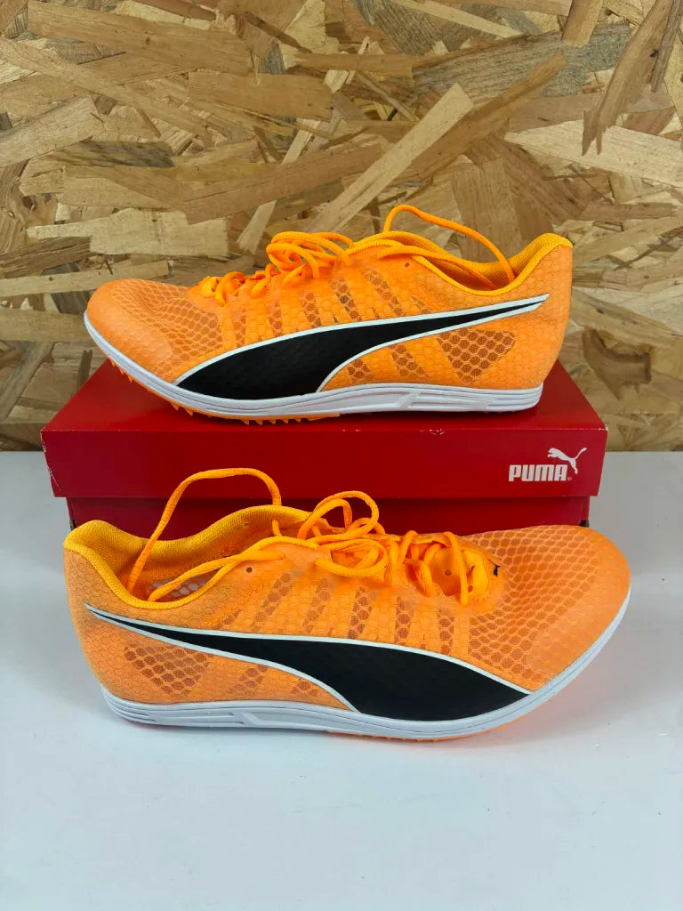 Chaussures Athlétisme Puma evoSPEED Distance 11 Homme – 41 – 377961 01