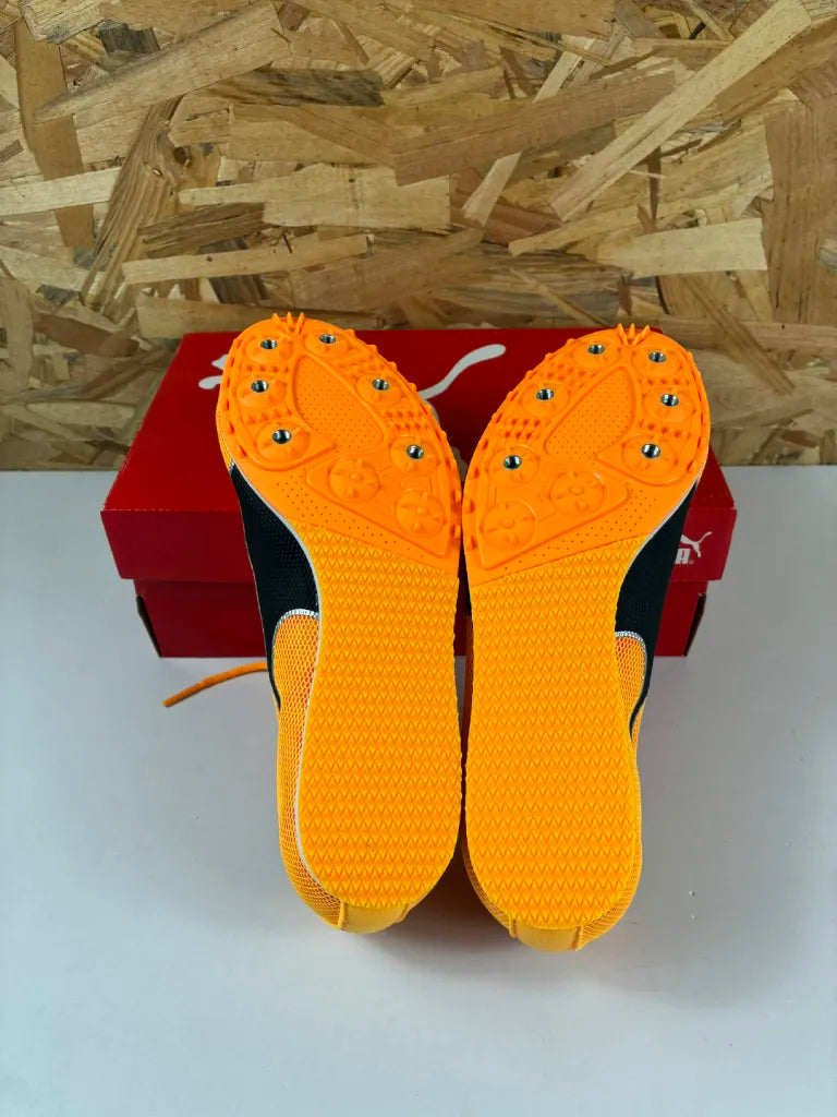 Chaussures Athlétisme Puma evoSPEED Star 8 – 37 – 377959 01 – Sans pointes