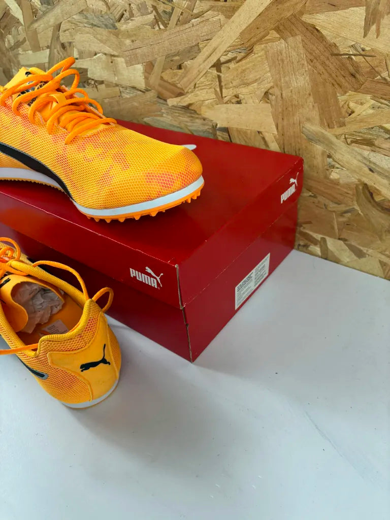 Chaussures Athlétisme Puma evoSPEED Star 8 – 44 – 377959 01 – Sans pointes