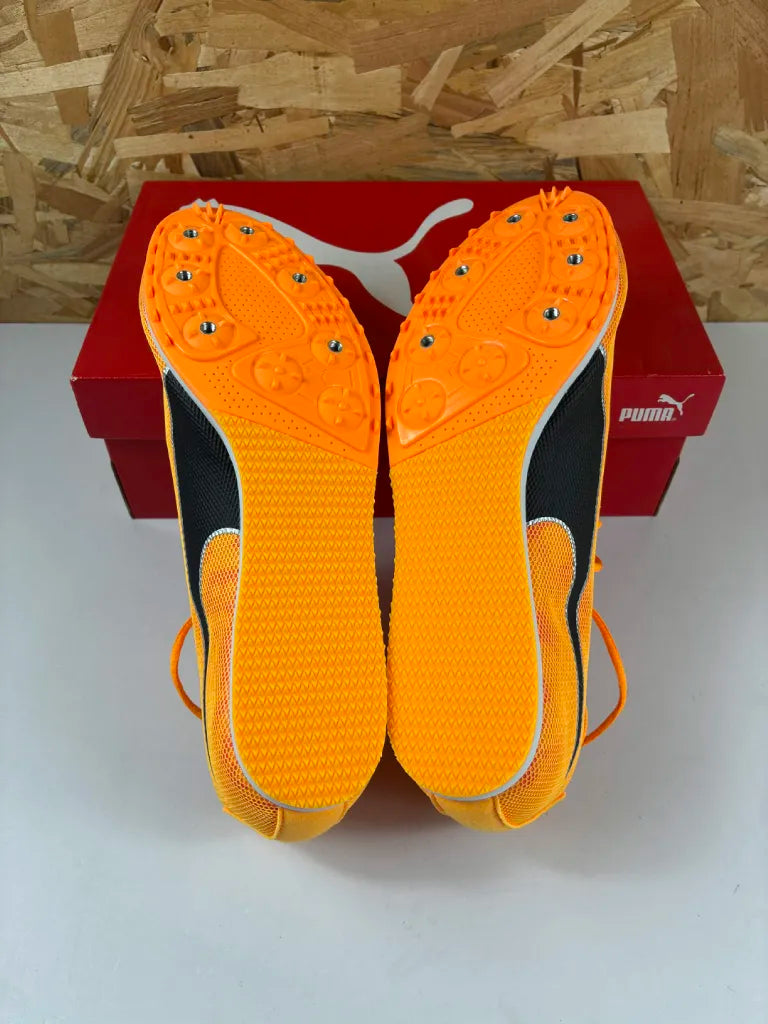 Chaussures Athlétisme Puma evoSPEED Star 8 – 44 – 377959 01 – Sans pointes