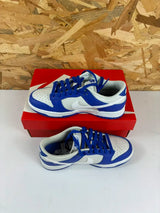 Nike Dunk Low Femme Photon Dust White Racer Blue – 37,5