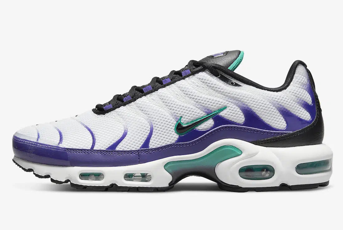 Nike Air Max Plus DM0032-100 White Black Grape Ice 44