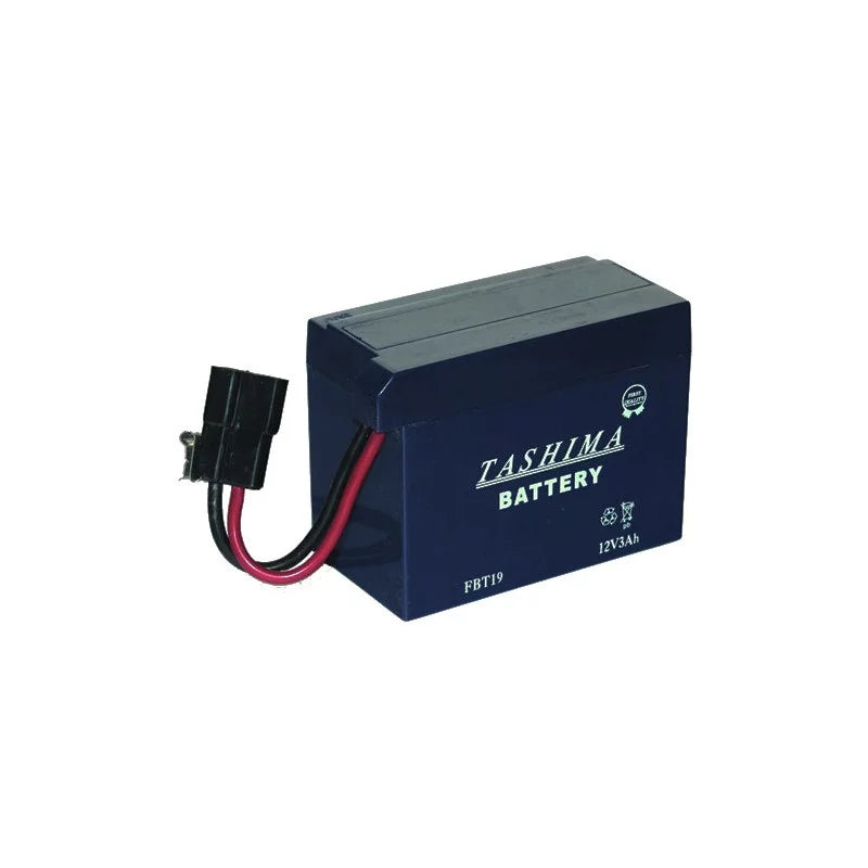 Batterie FBT19 12V 3Ah – Adaptable pour modèles Tecumseh